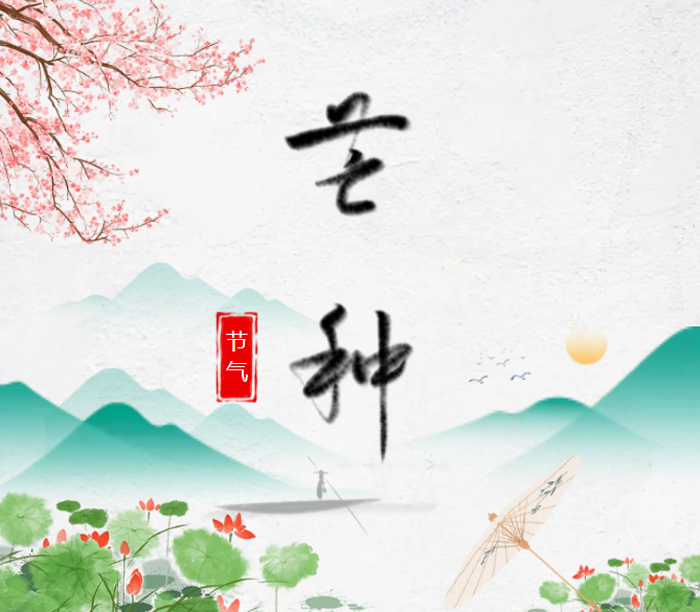 QQ图片20250607225426.png