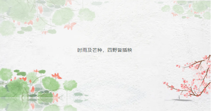 QQ图片20250607225454.png