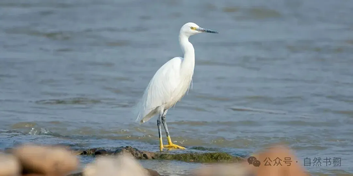 640 (1).webp (1).png