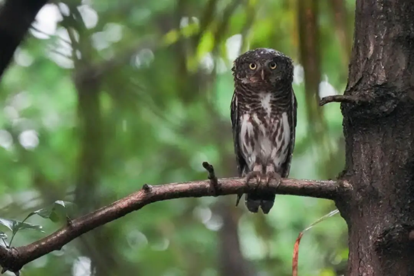 640 (1).webp (1).png