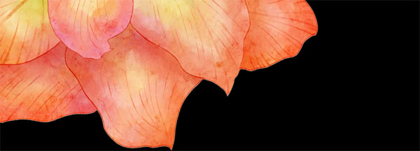 1768787663316711.jpg {5E80C965-803A-4718-9EAA-08.jpg