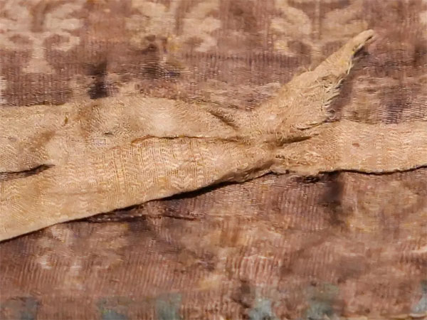 1768788495663406.jpg {E3C8B709-090A-4f62-9E07-EC.jpg