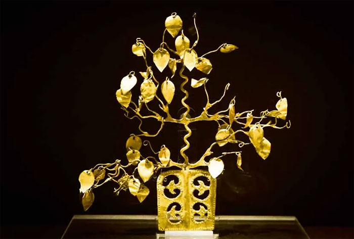 1769389403543244.jpg {8F85B1AA-10B2-4388-B41E-8E.jpg