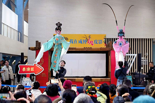 1772245086957303.jpg 8_515.jpg