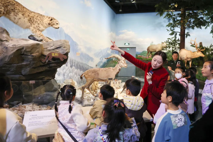 1773020309482278.jpg 2BCE.jpg