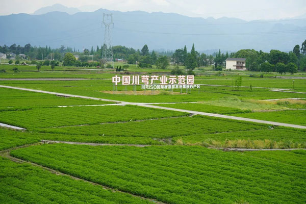 1789361782840965.jpg 微信图片_2026-09-14_123751_.jpg
